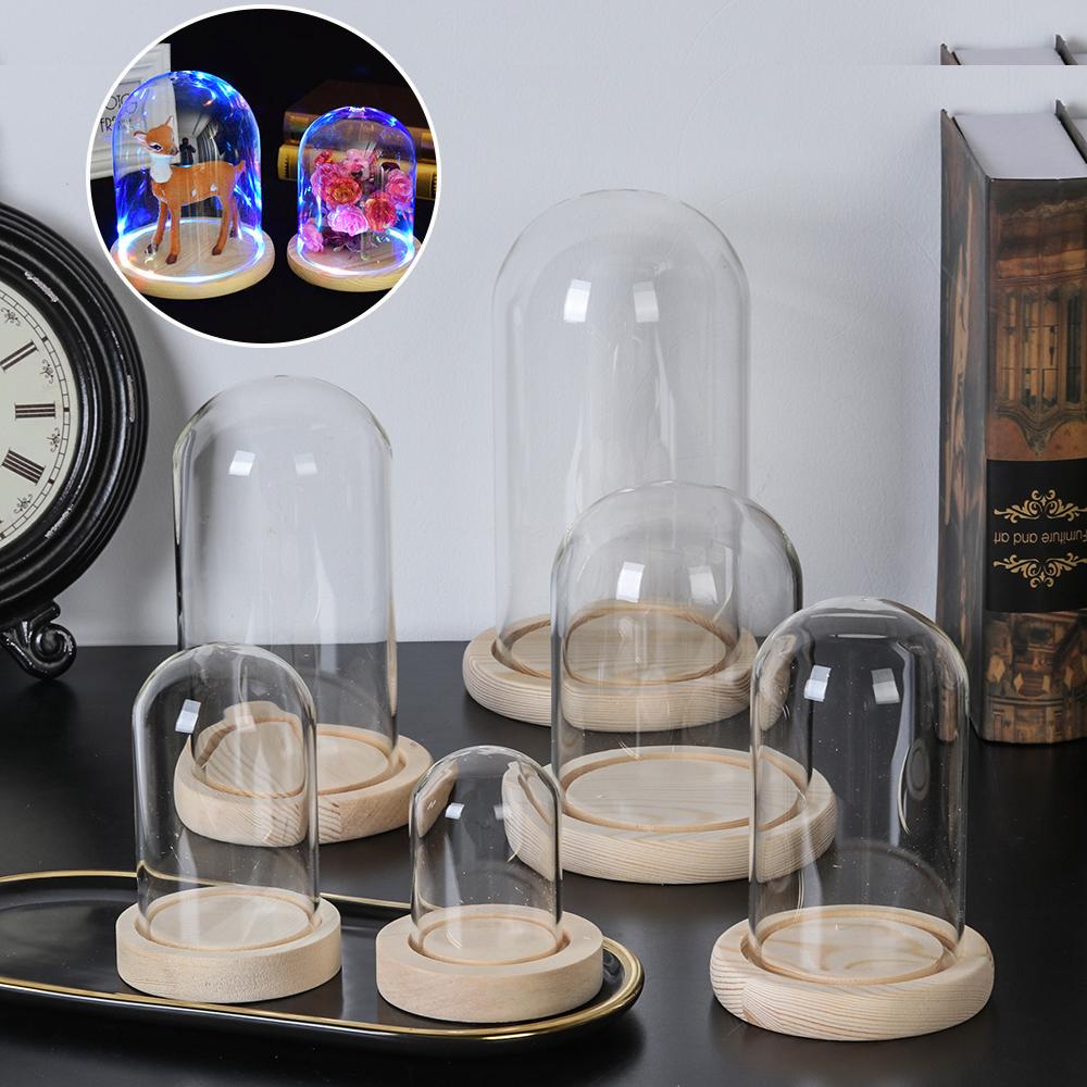 أضواء زينة للديكور المنزلي، زج - مراجعة Home Decor Glass وسعره